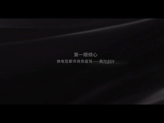 Daun Maple Geely 80V