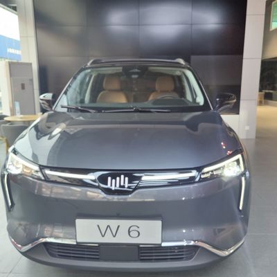 WM W6 Mobil Listrik Besar 520KM 620KM SUV Mobil Listrik Weltmeister Energi Baru