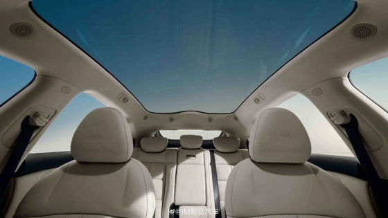 Zhiji LS6 Daya Maksimum 575kw Semua Mobil Listrik Dengan Kecepatan Tertinggi 252kmh Kendaraan Olahraga Listrik