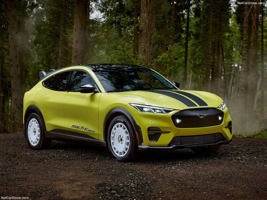 Unik Rally Suspension, Mobil Keluarga Out Racing Feeling At Ford Mustang Mach-E Rally (2024) 480 tenaga kuda